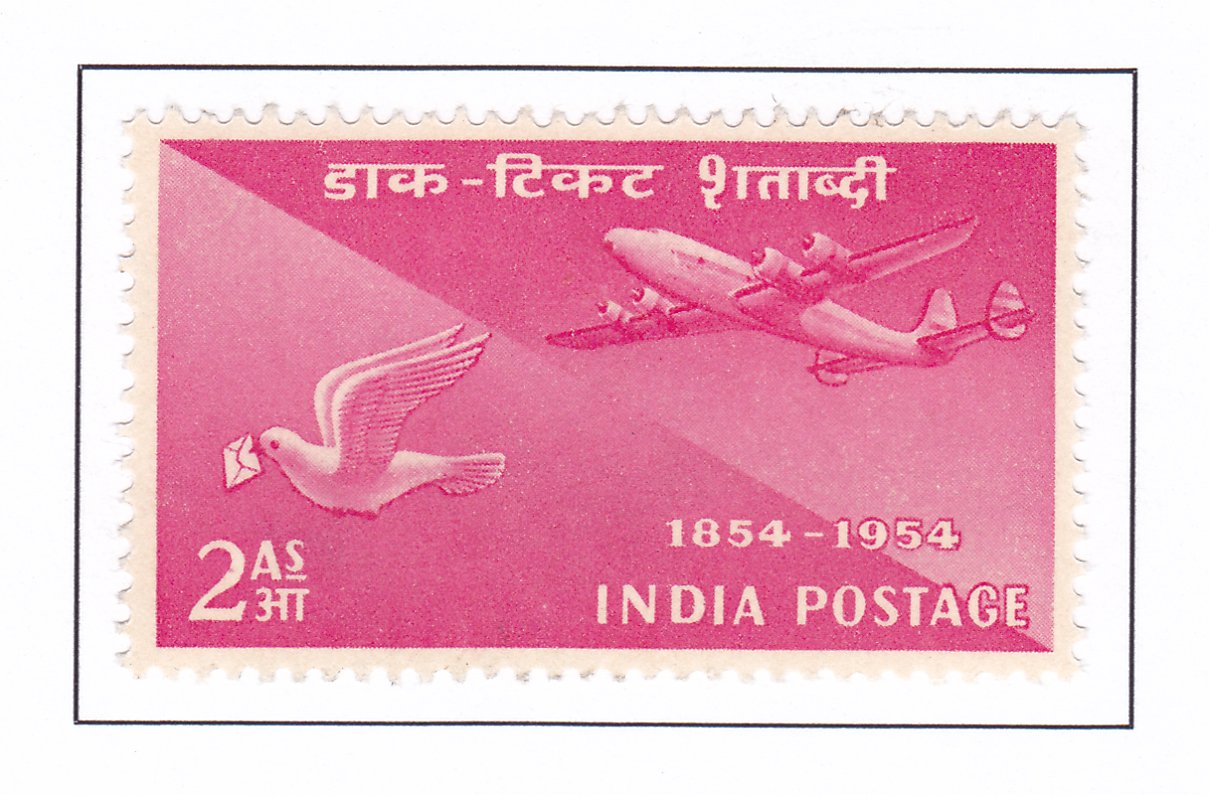 Pigeon and Plane