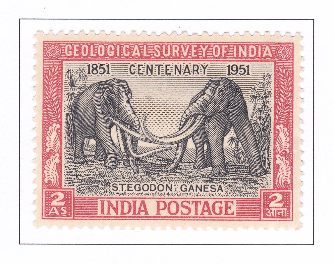 13 01 1951