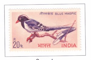 BLUE MAGPIE