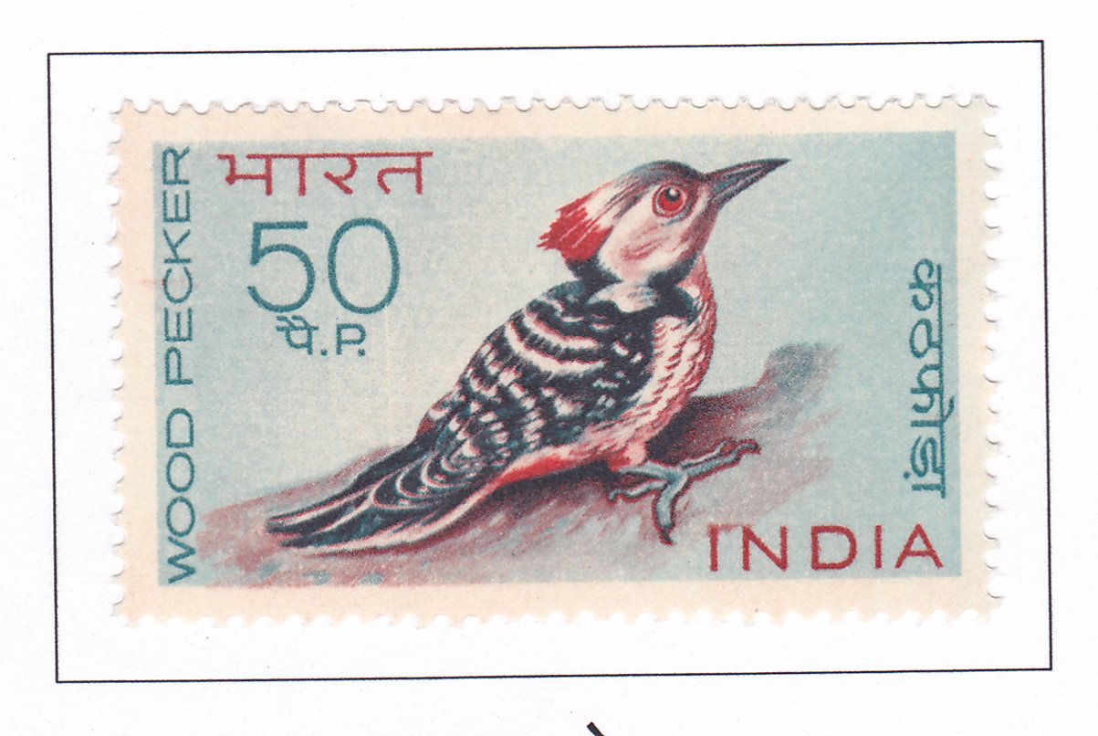 WOODPECKER