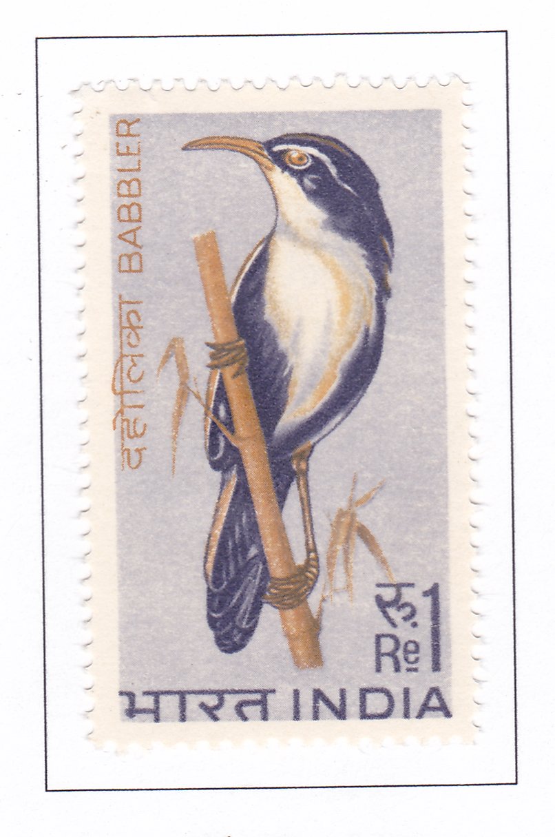 BABBLER