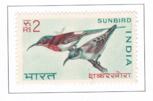 SUNBIRD