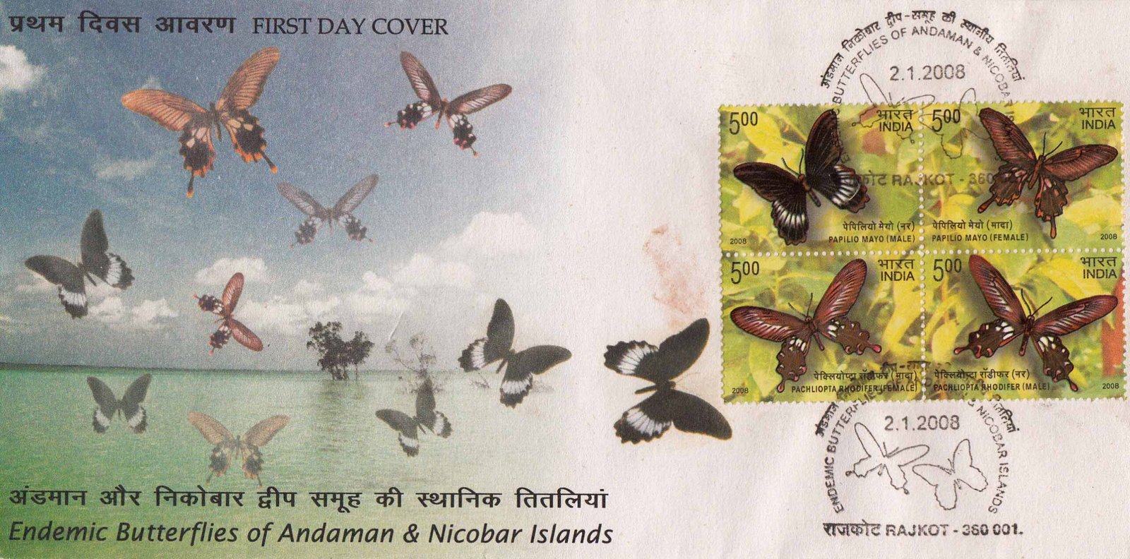Endemic Butterflies of Andaman & Nicobar Islands