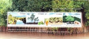 brugueria gymnorrihza