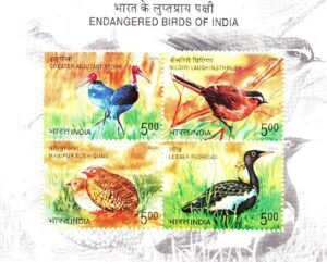 endangered birds of india