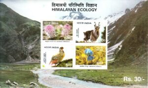 himalyan ecology