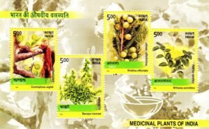 medicinal plants of india