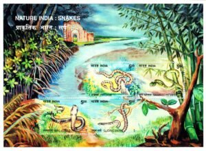 nature india snakes