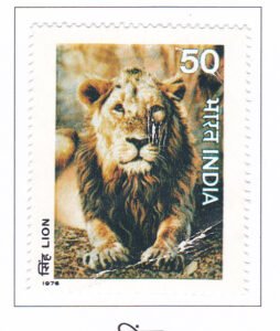 Asiatic Lion (Panthera leo persica)