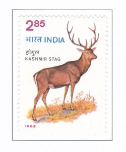 Wildlife Conservation