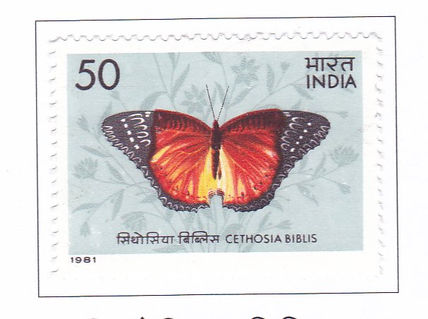 Cethosia biblis