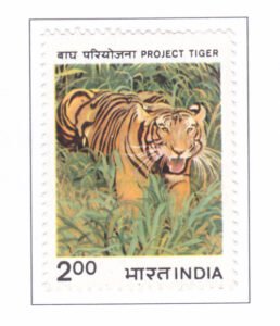 Project Tiger