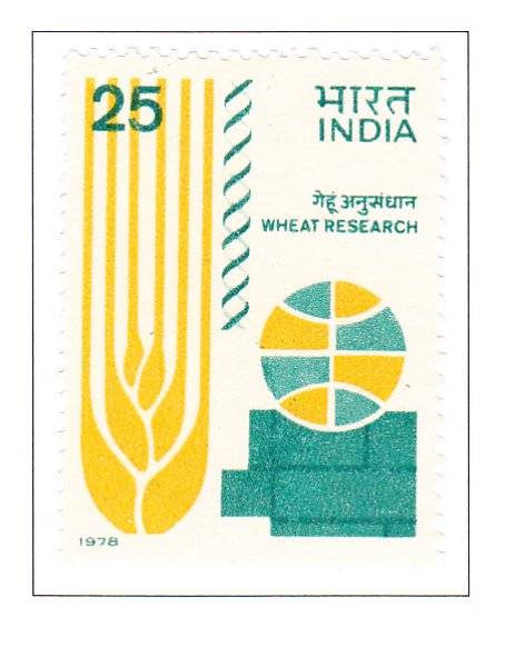 a stamp with a graphic design