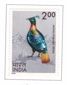 Himalayan Monal Pheasant (Lophophorus impejanus)