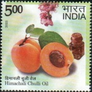 Chuli Oil