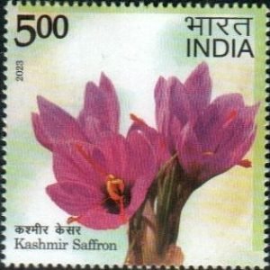 Saffron