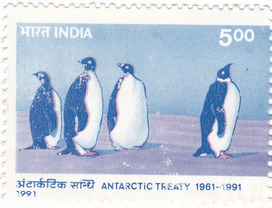 Antarctic Treaty: Emperor Penguin (Aptenodytes forsteri)