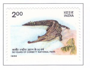 Corbett National Park