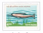 River Dolphin