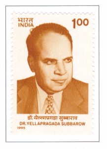 Yellapragada Subbarow