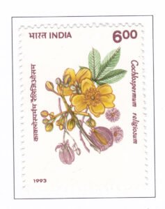 Cochlospermum Religiosum