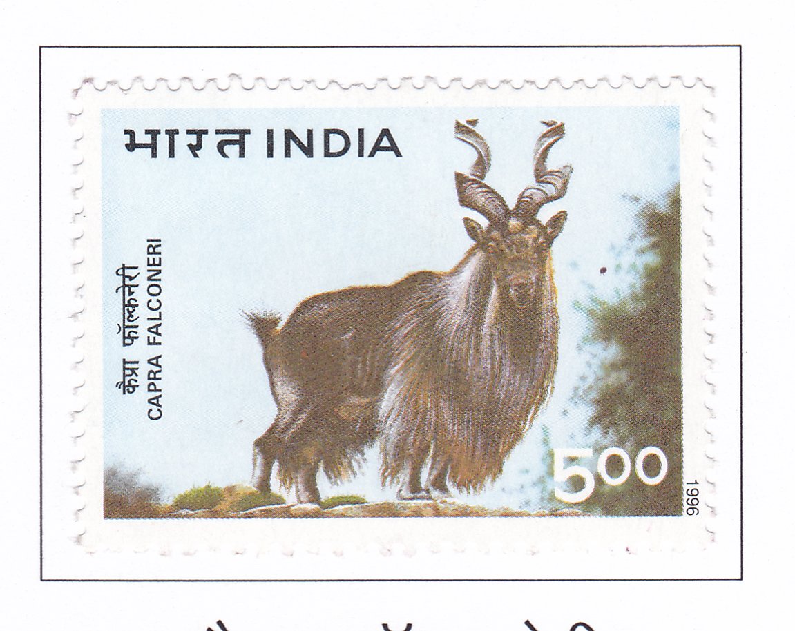Himalayan Ecology
