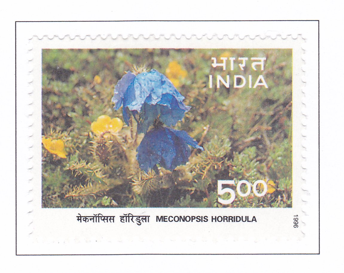 Himalayan Ecology