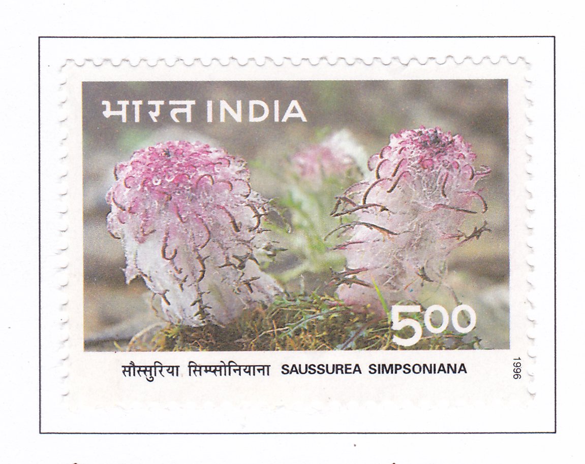 Himalayan Ecology