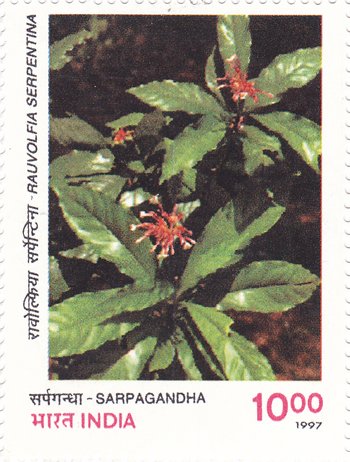 Sarpagandha