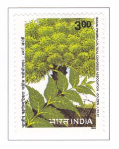 The Indian Pharmaceutical Congress