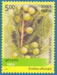 Amla