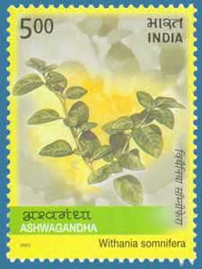 Ashwagandha