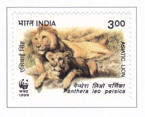 Asiatic Lions