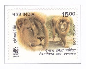 Asiatic Lions