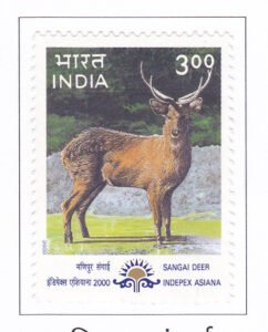 Sangai Deer