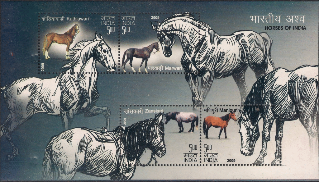 Horses of India