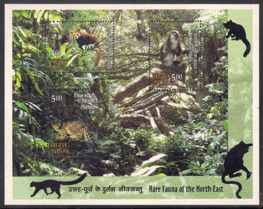 Rare Fauna of North East India