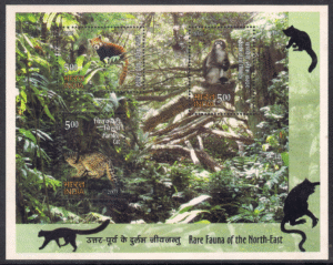 Rare Fauna of North East India