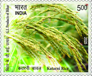 G.I. Products of Bihar - Katarani Rice - Commemorative Stamp