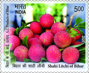 G.I. Products of Bihar - Shahi Litchi - Commemorative Stamp