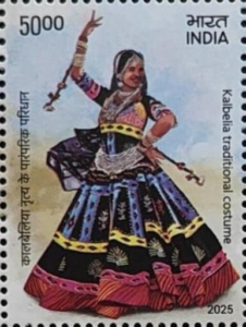 Kalbelia traditional costume