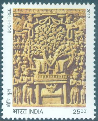image 28