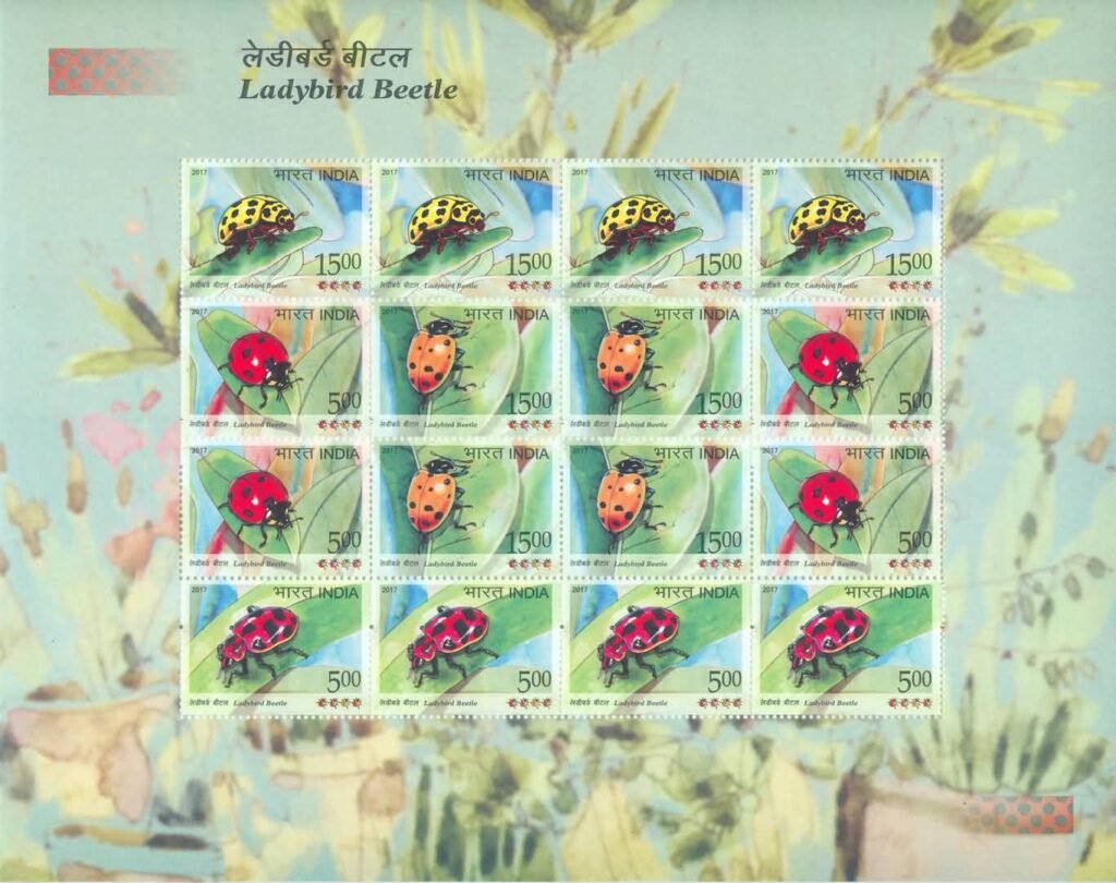 sheetlet192