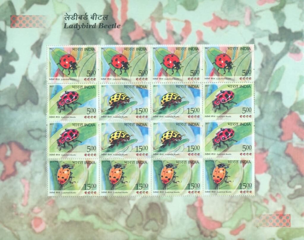 sheetlet193