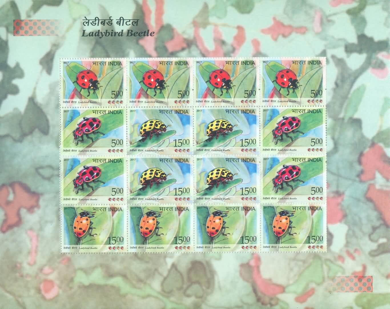 sheetlet193