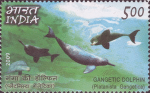 India Philippines Joint Issue- Gangetic Dolphin (Platanista gangetica)