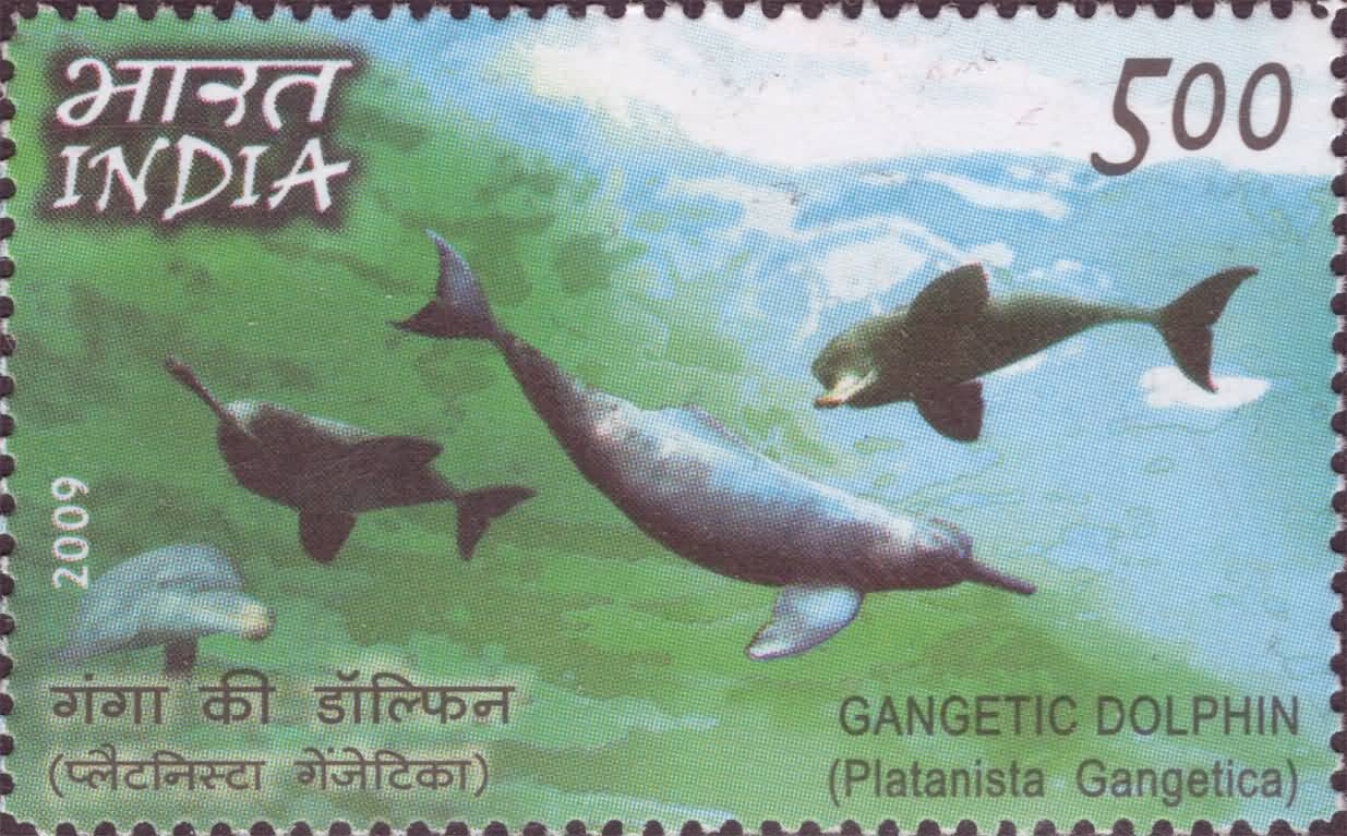 India Philippines Joint Issue- Gangetic Dolphin (Platanista gangetica)