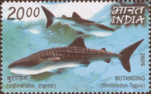 India Philippines Joint Issue- Whale Shark (Rhincodon typus)
