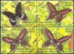 Butterflies