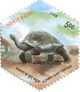 Aldabra Giant Tortoise